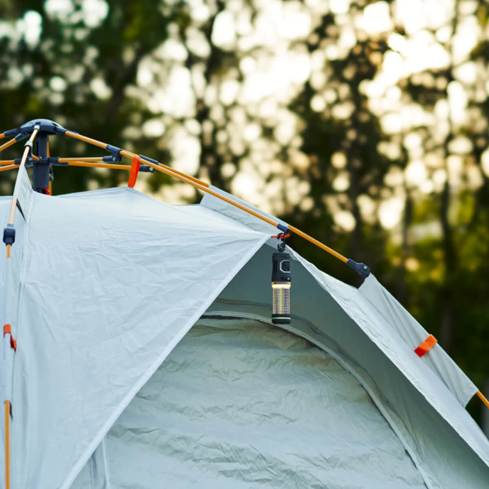 Thumbnail 15