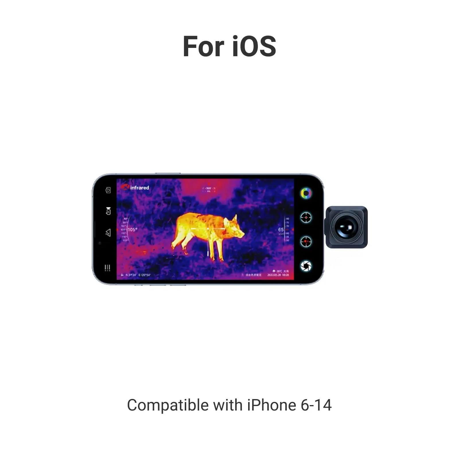 Thumbnail 11
